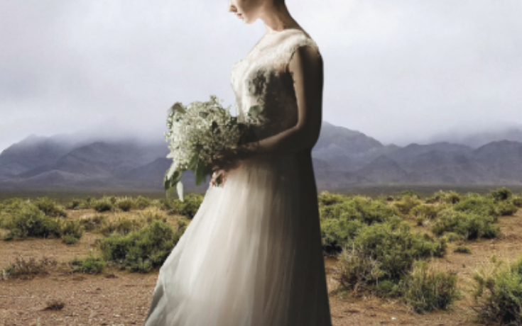 Judah and Tamar Bible